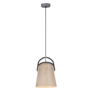 Legna Interior Ellipse Pendant Light