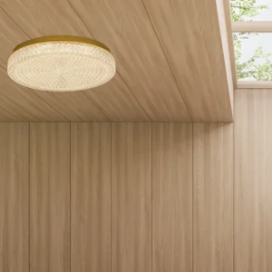 Close To Ceiling