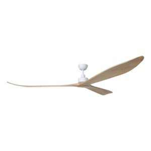 Currumbin 100" DC Fan