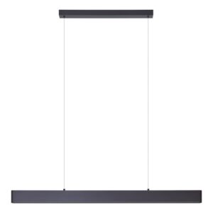 Climene 3 1200mm Linear Pendant